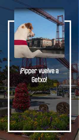 Pipper en el puente Bizkaia