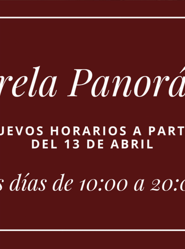 puente-bizkaia-pasarela-panorámica